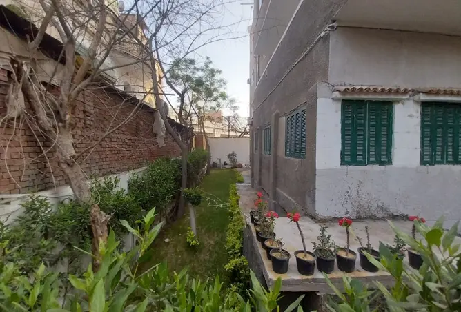 117278180 - Property Image 2