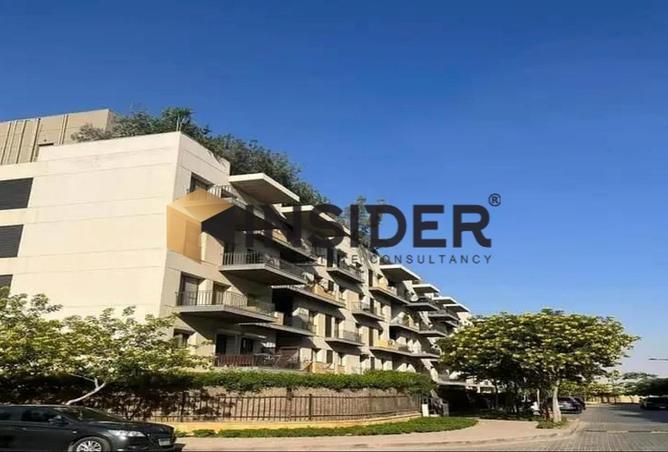 55511264 - Property Image 3