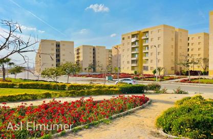 Apartment - 3 Bedrooms - 1 Bathroom for sale in El Motamayez District - Badr City - Cairo Apartment - 3 Bedrooms - 1 Bathroom for sale in El Motamayez District - Badr City - Cairo