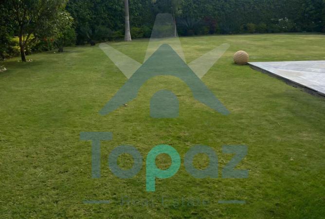 68520398 - صورة العقار 3