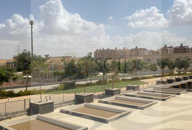73766387 - صورة العقار 3