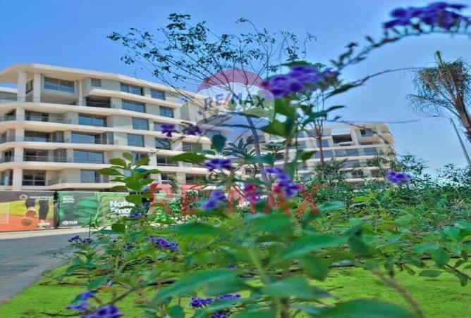 68262244 - صورة العقار 2