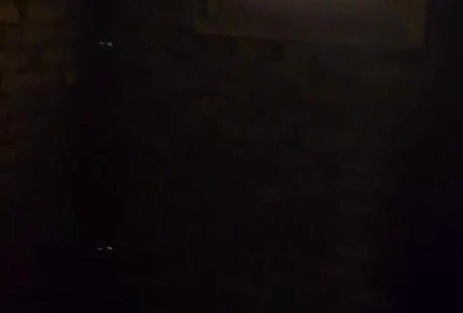 79188106 - صورة العقار 3