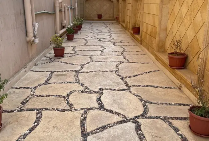 113263822 - Property Image 2