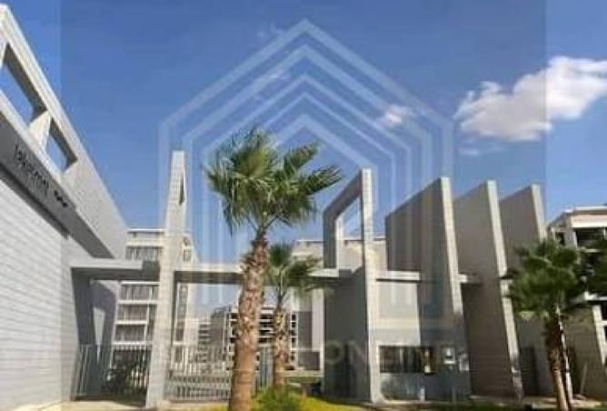 103478538 - Property Image 3