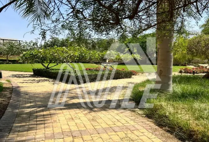 115440074 - Property Image 3