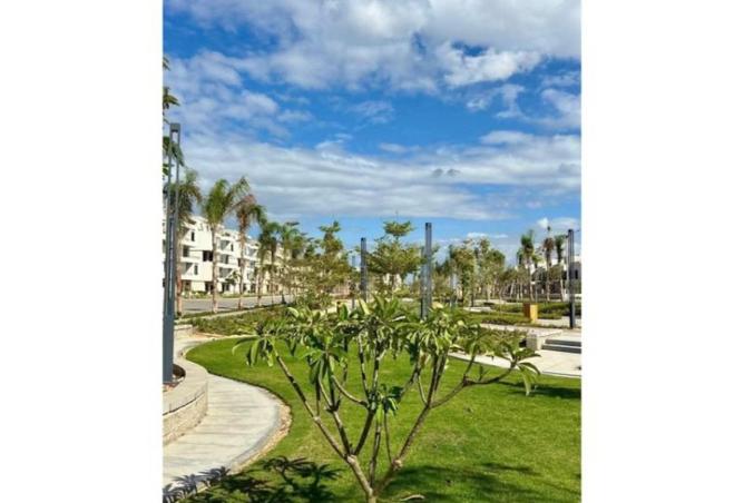 8435677 - Property Image 2