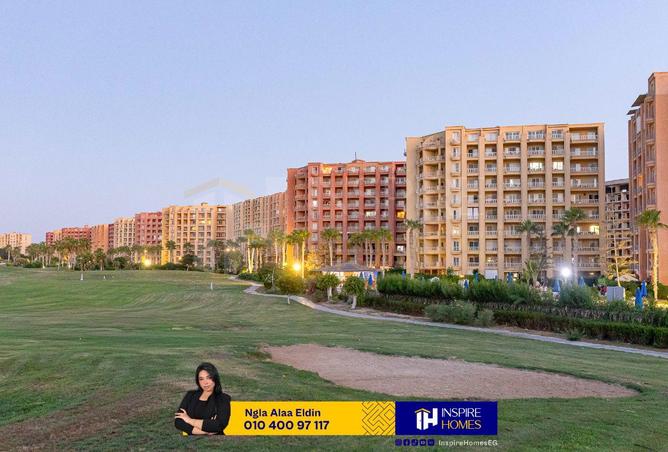 76231909 - Property Image 3