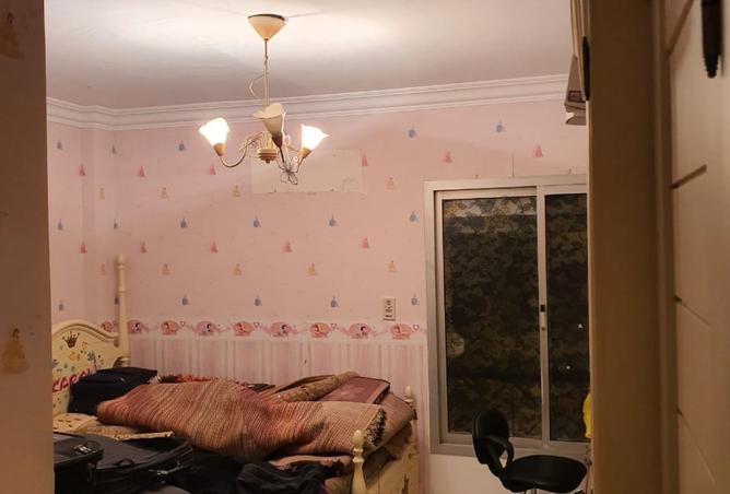 98012195 - Property Image 3