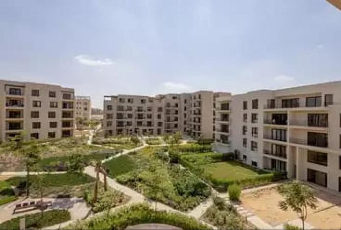 69823622 - صورة العقار 3