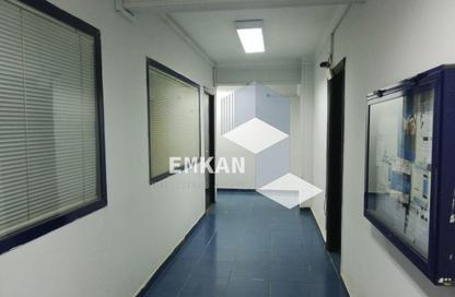 Whole Building - Studio - 7+ Bathrooms for rent in Al Laselky St. - El Laselky - New Maadi - Hay El Maadi - Cairo