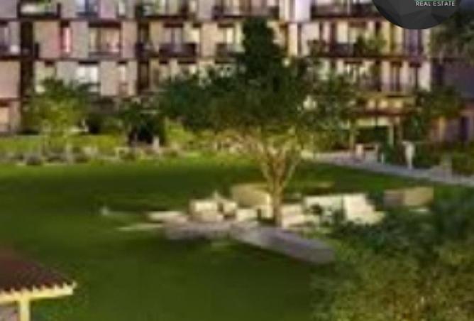 65408755 - Property Image 3