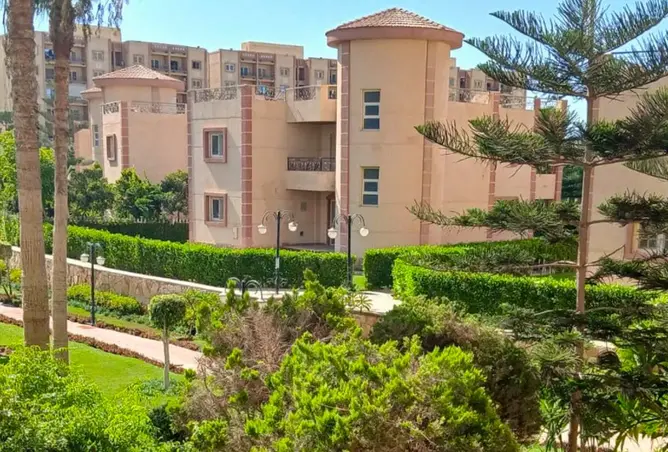 107695431 - Property Image 2