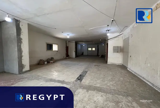 111582497 - Property Image 3