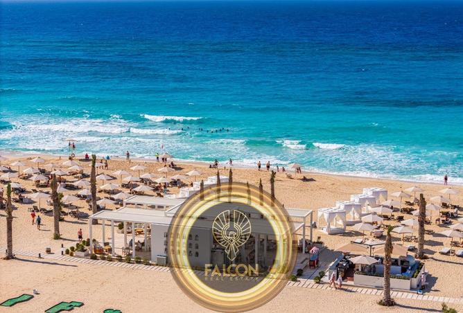 91567649 - صورة العقار 3