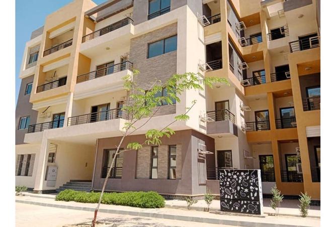 8625373 - Property Image 3