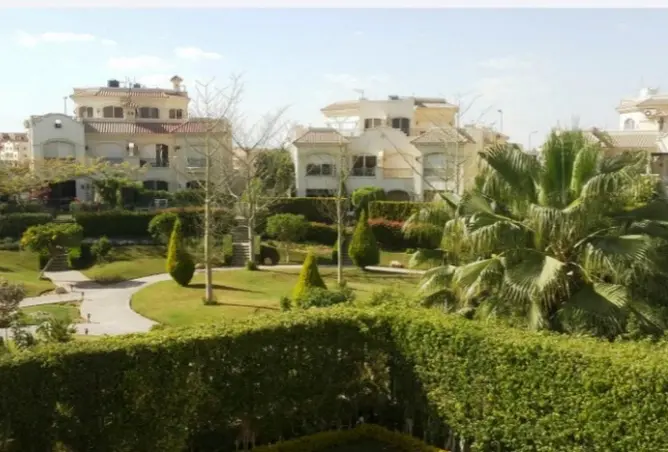 84247447 - صورة العقار 3