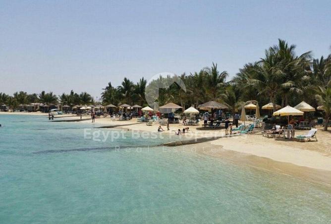 65164201 - Property Image 2