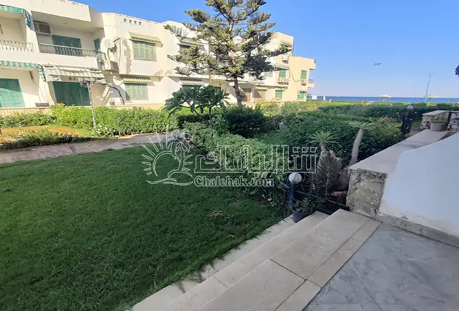 113814940 - صورة العقار 2