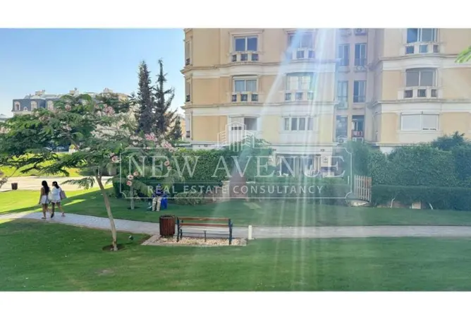 112970077 - Property Image 3
