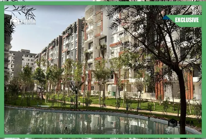 113258743 - Property Image 3