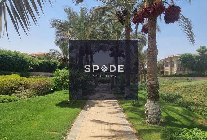 8639741 - صورة العقار 2