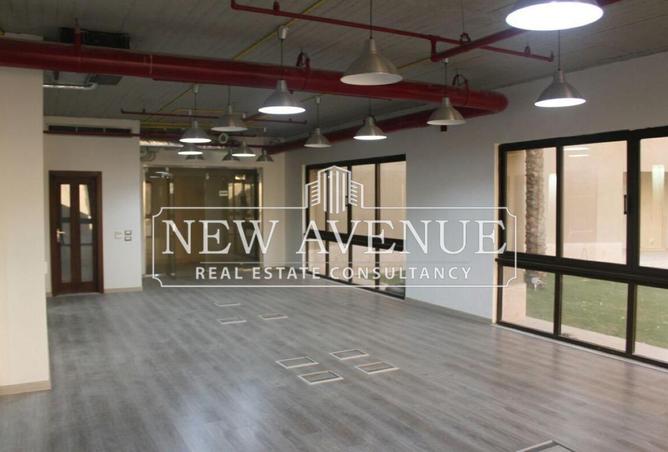 53466744 - Property Image 3