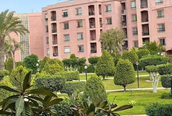 52455399 - الصورة الرئيسية للعقار