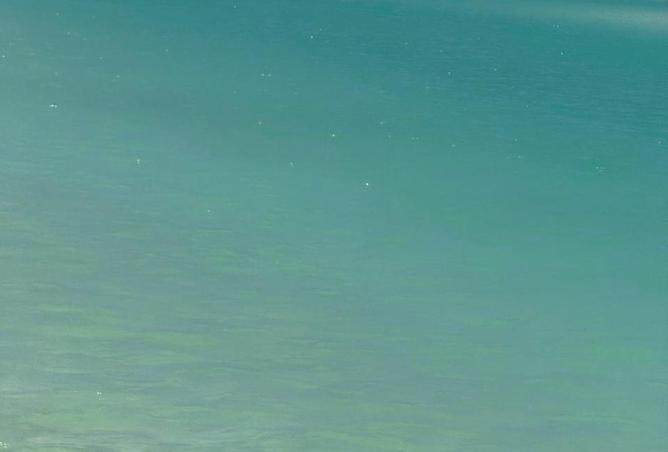 85321469 - صورة العقار 2