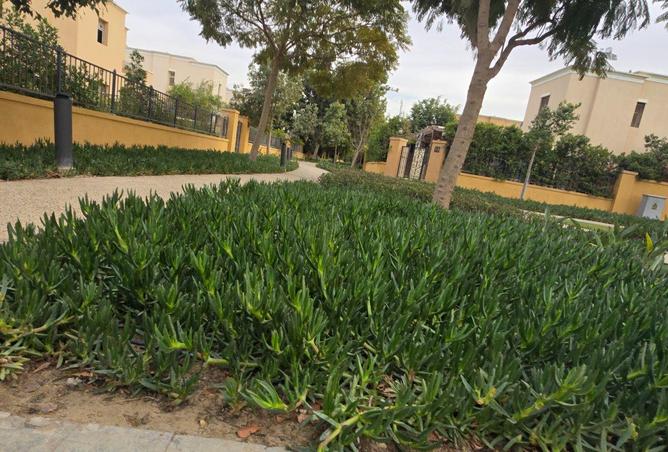 55748249 - صورة العقار 2