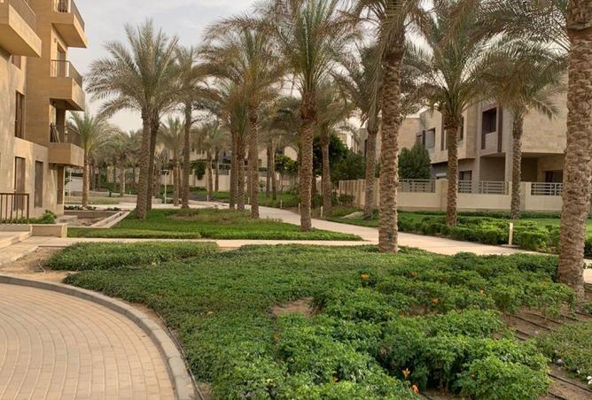 58006072 - صورة العقار 2