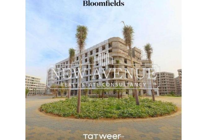 64639046 - صورة العقار 2