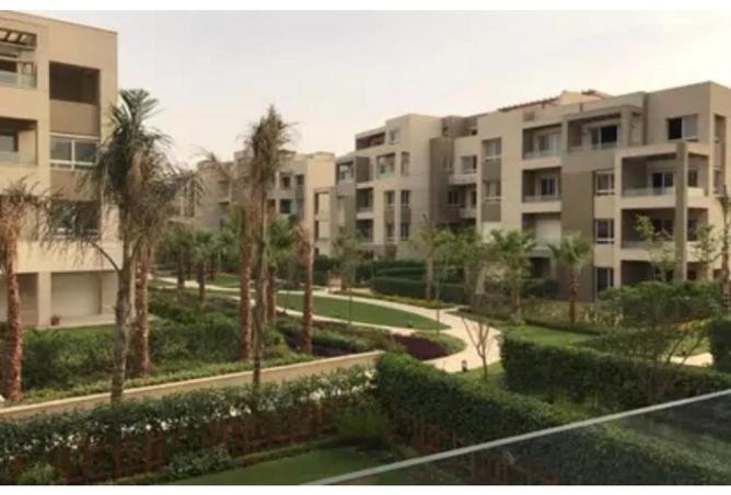 57736476 - صورة العقار 3