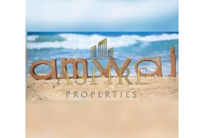 8682676 - صورة العقار 2