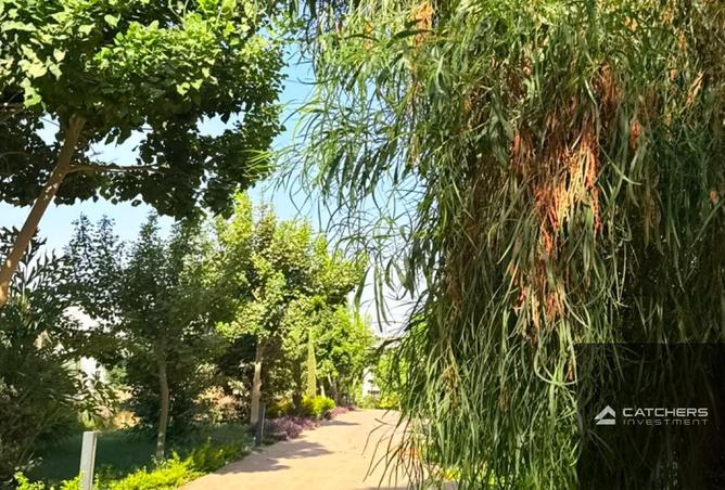 103482061 - صورة العقار 3