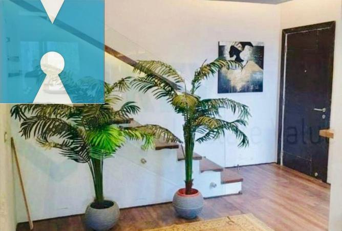 8647858 - Property Image 3