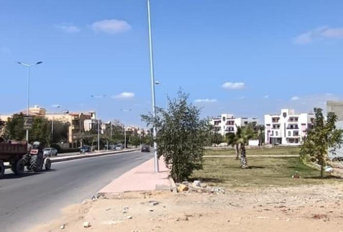 58251626 - صورة العقار 2