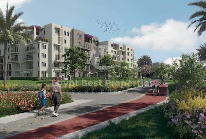 53717668 - Property Image 3