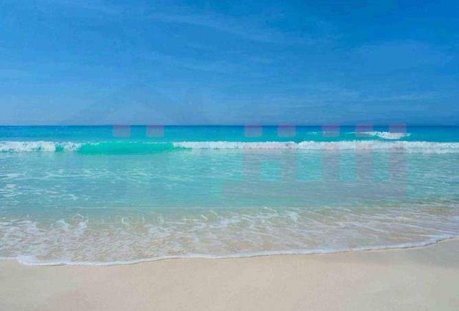 8679748 - Property Image 3