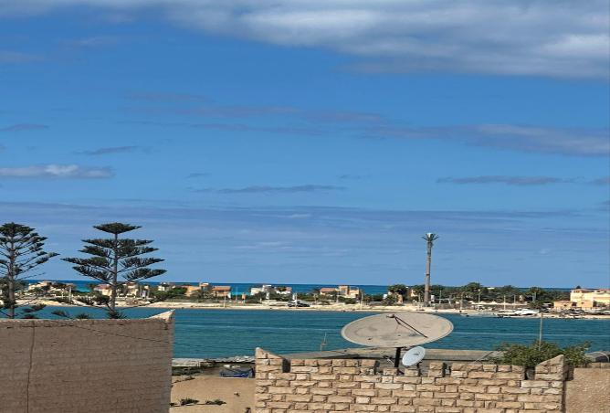 8624823 - صورة العقار 2