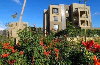 Apartment - 3 Bedrooms - 3 Bathrooms for sale in Palm Parks Palm Hills - South Dahshur Link - 6 October City - Giza Apartment - 3 Bedrooms - 3 Bathrooms for sale in Palm Parks Palm Hills - South Dahshur Link - 6 October City - Giza