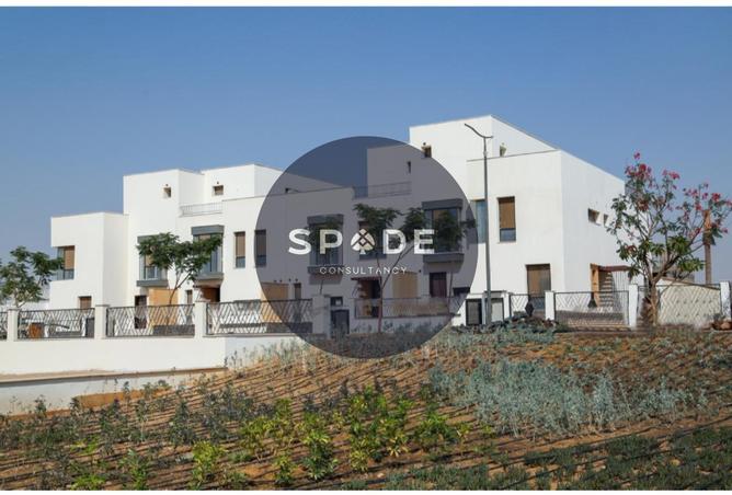 98282820 - Property Image 3