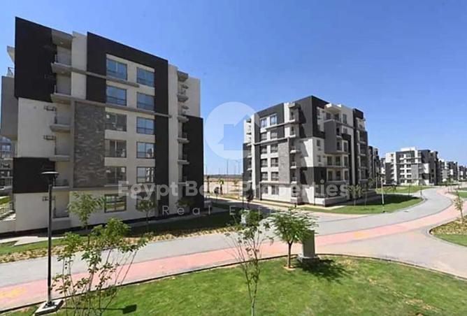 8581587 - Property Image 3