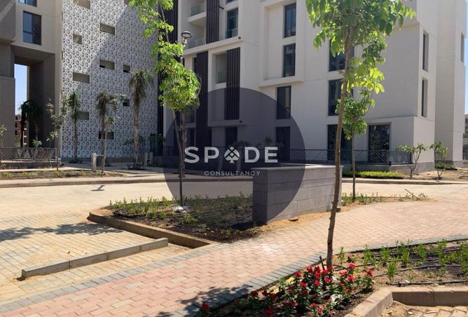 66169048 - صورة العقار 2