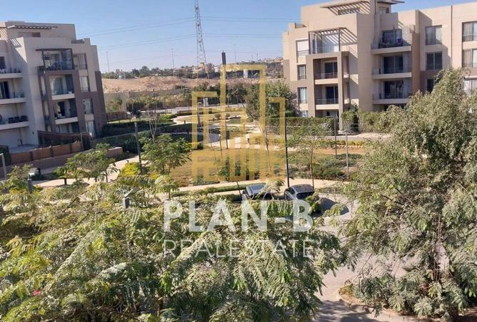 54491948 - Property Image 3