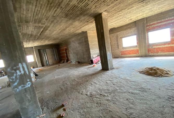 101206858 - Property Image 3