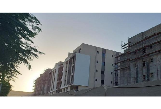 74309949 - صورة العقار 3