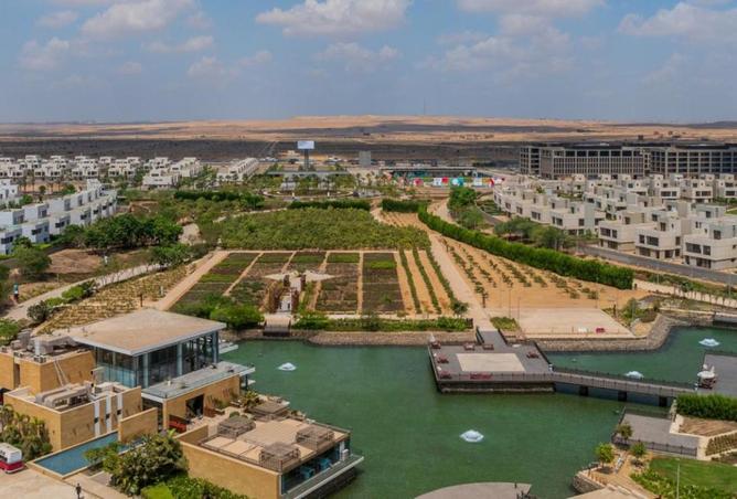 67739115 - Property Image 3