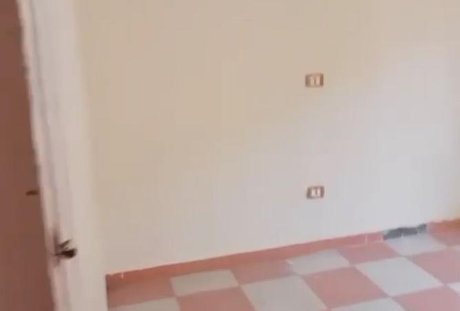 98273753 - صورة العقار 3