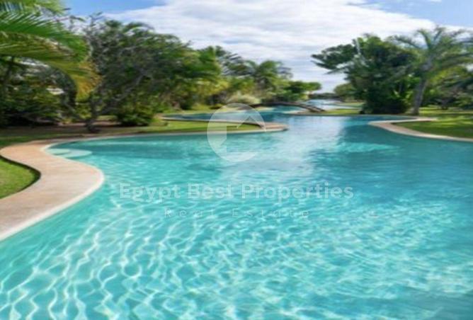 89554769 - Property Image 2